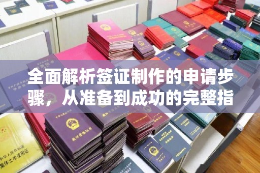 黔西南全面解析签证制作的申请步骤，从准备到成功的完整指南